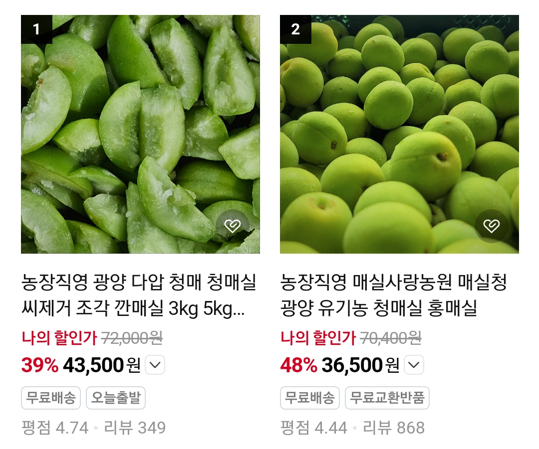 생방송투데이 광양 매실