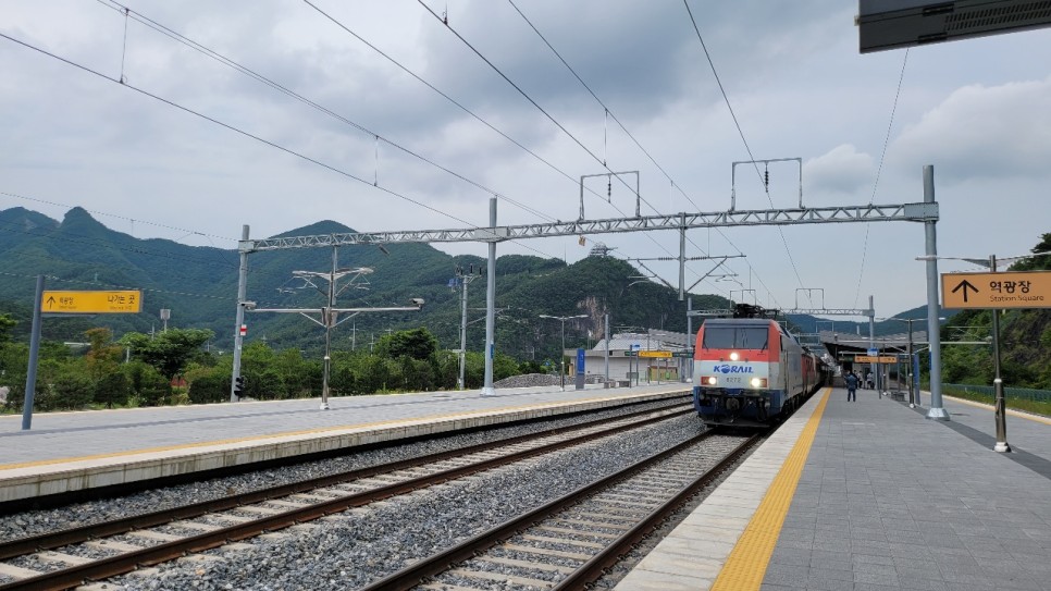 신해운대역 단양에서 부산으로 한방에 6