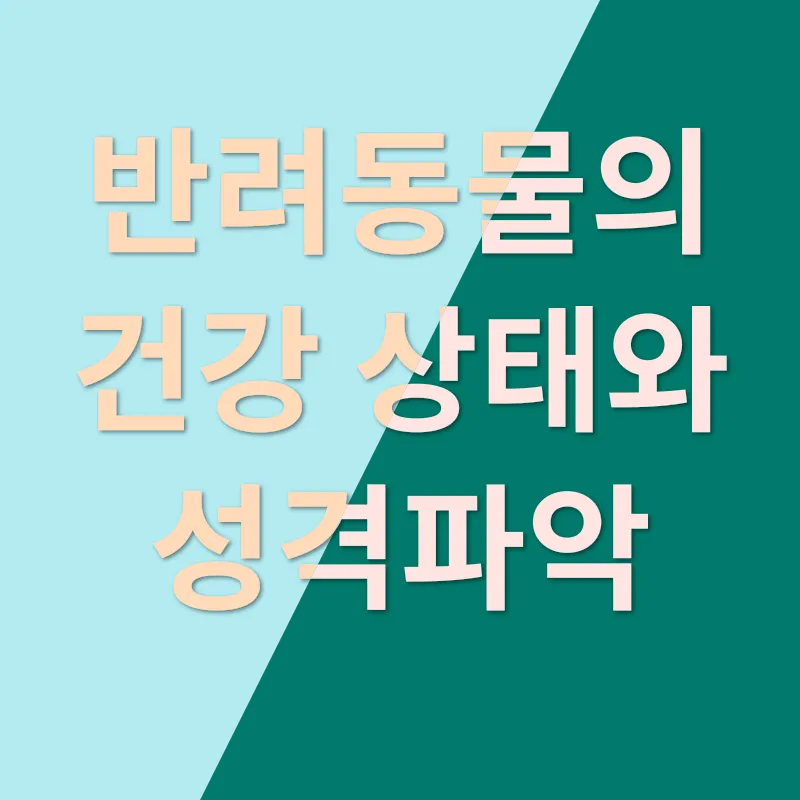 반려동물 분양_1