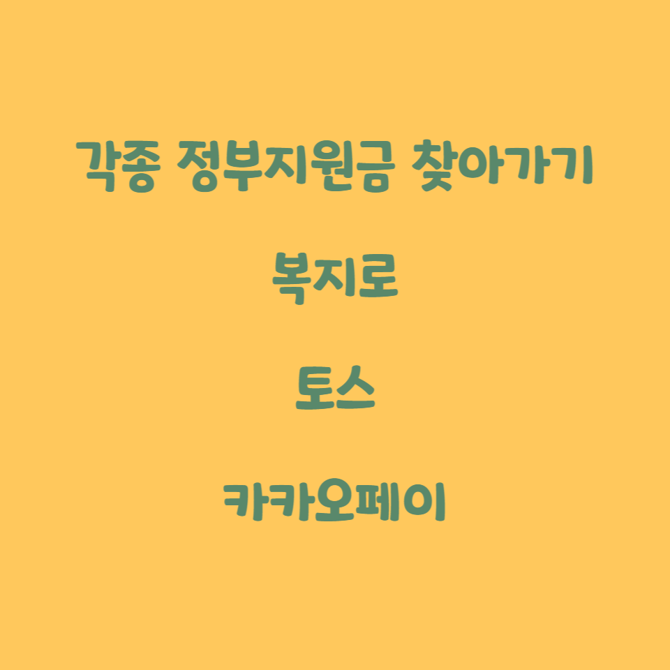  각종 정부지원금 한 번에 모아보기 (복지로, 보조금24, 토스 숨은 정부지원금 찾기, 카카오페이 돈 되는 정책지원금)