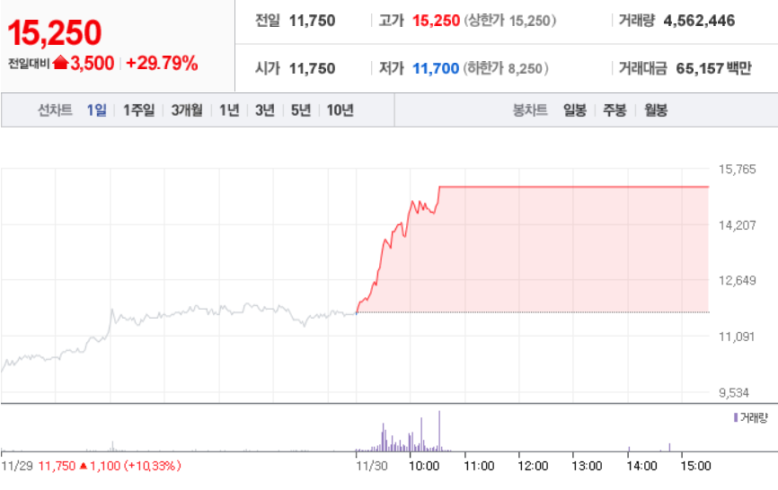  11월 30일 장 중 특징주