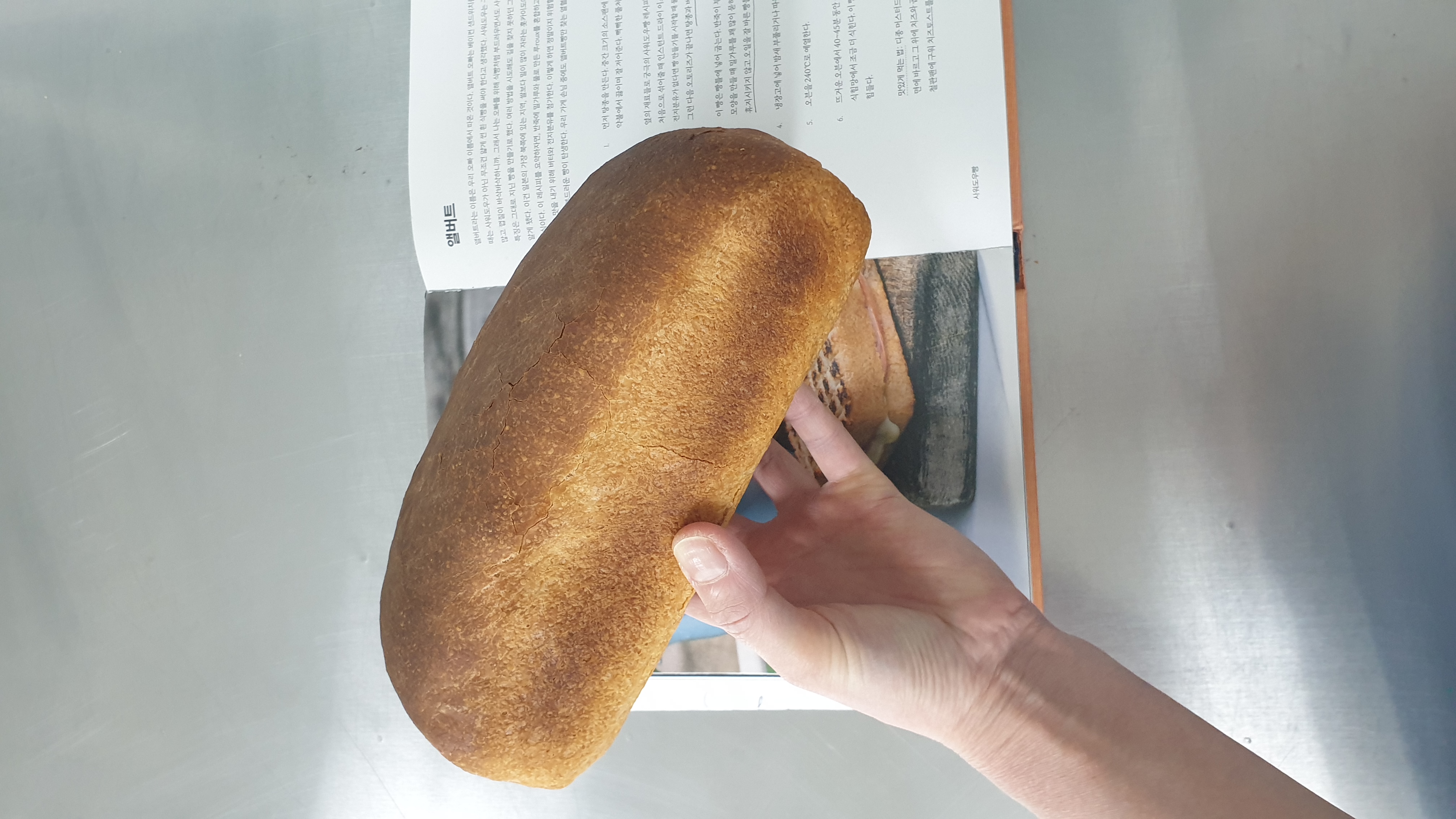 황금빛깔 앨버트 식빵