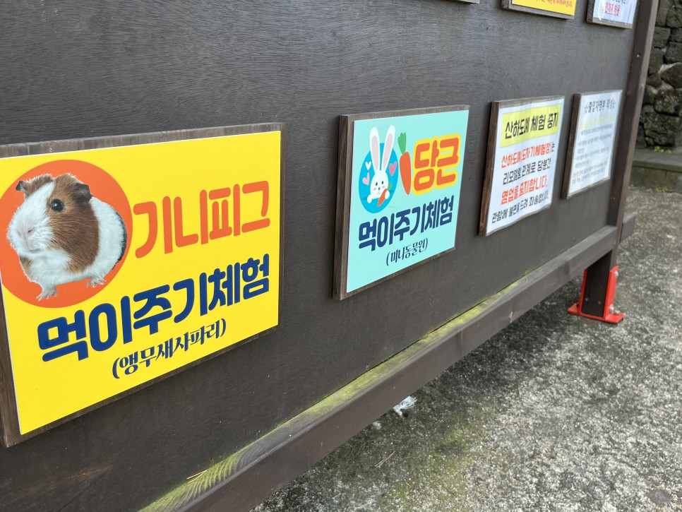 태교여행 놀기좋은 23