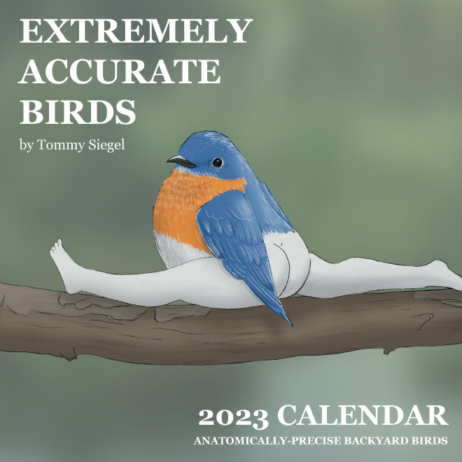 Finally, The 2023 Calendar Of Extremely Accurate Birds