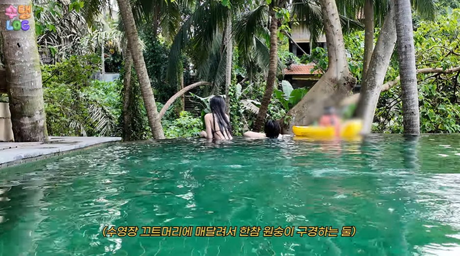 원숭이의 숲 말고 민가에서도 자주 보인다는 요즘 발리 여행 근황 | 인스티즈