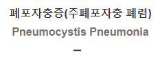  폐포자충증(주폐포자충 폐렴) [Pneumocystis Pneumonia]