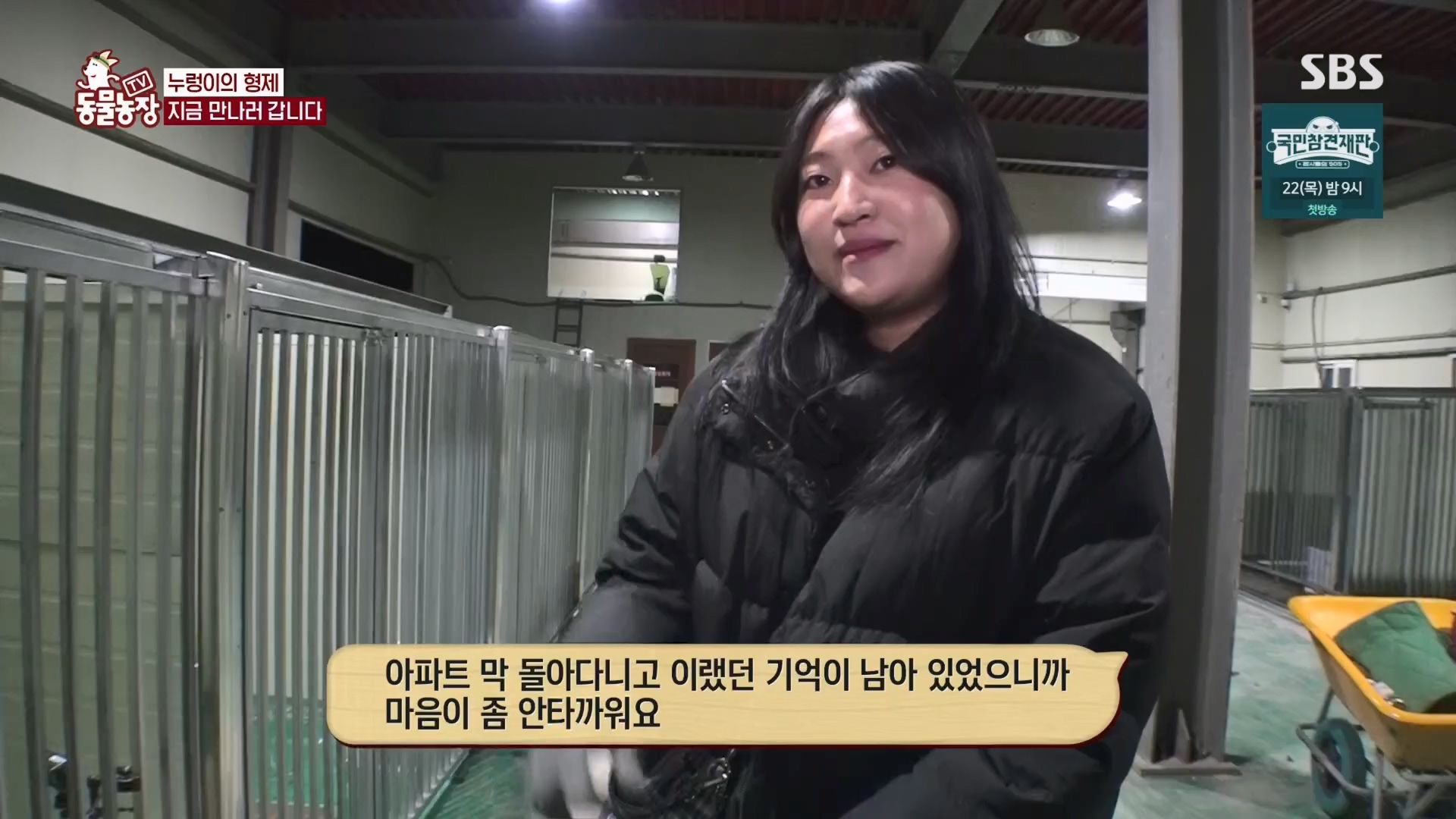 TV 동물농장.E1158.240211p.H264-F1RST.mp4_20240211_194052.111.jpg