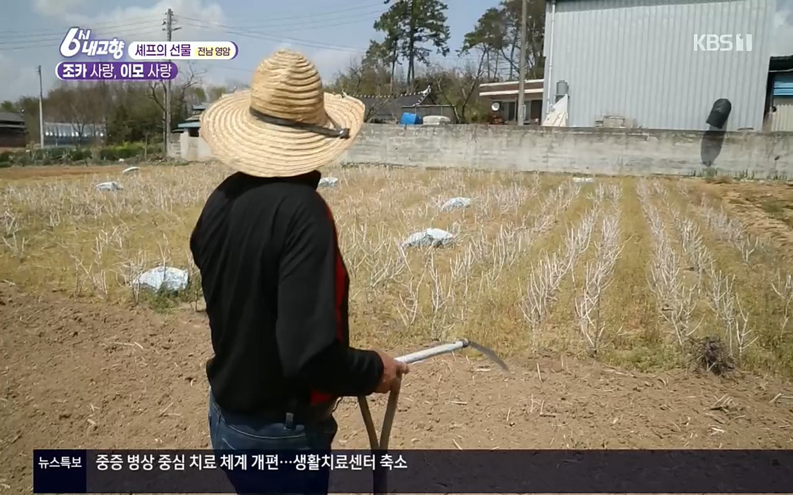 6시 내고향.E7512.220416p.H264-F1RST.mp4_20220502_194152.420.jpg