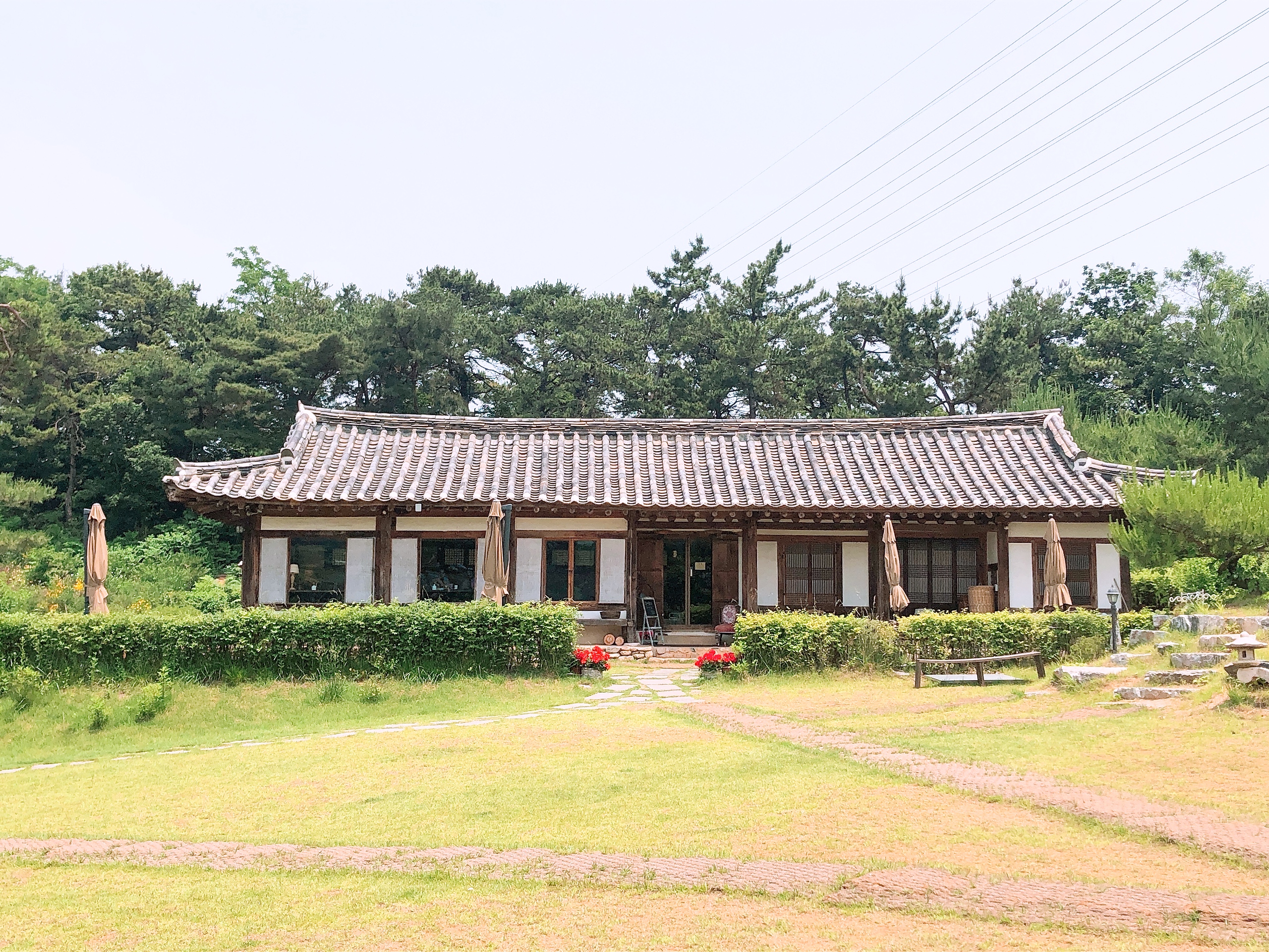  풍세커피 /  분위기좋은커피숍 /  진한커피 /  천안 괜찮은 커피숍 / 천안커피숍추천