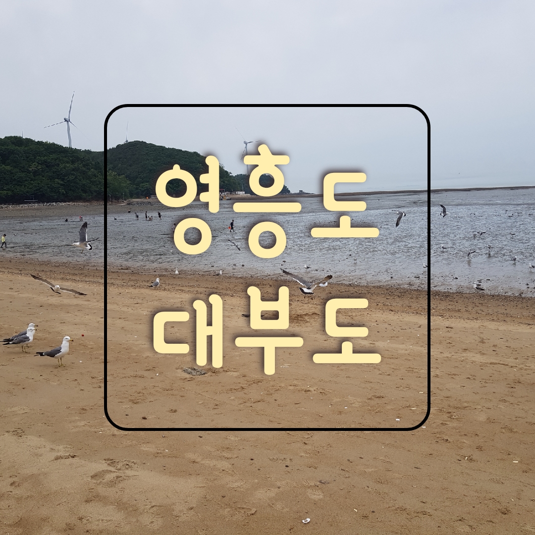 하늘장 이미지