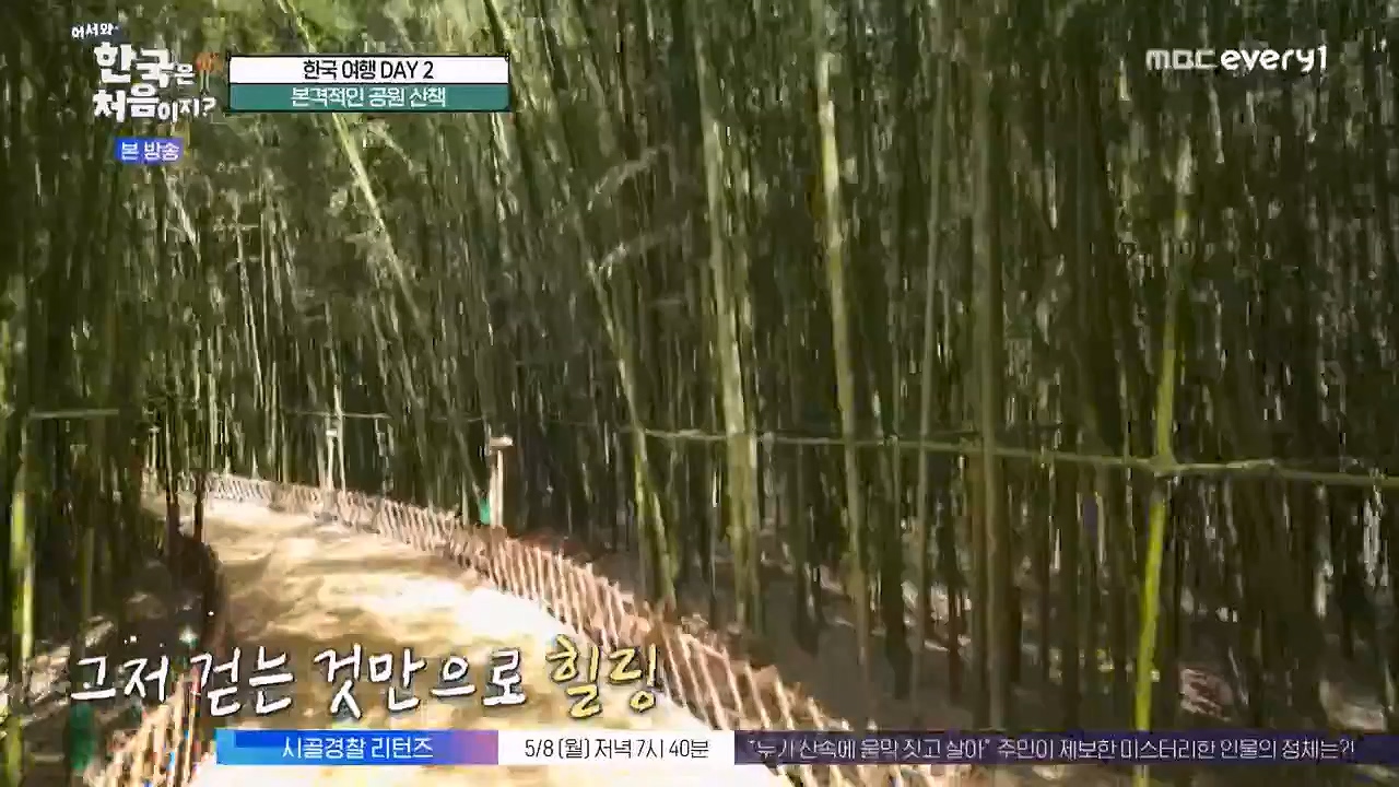 어서와 한국은 처음이지 시즌2.E261.230505p-NEXT.mp4_20230505_175311.443.jpg