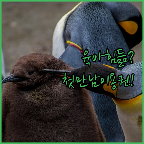 애 키우기 힘들다고? 첫만남이용권이 