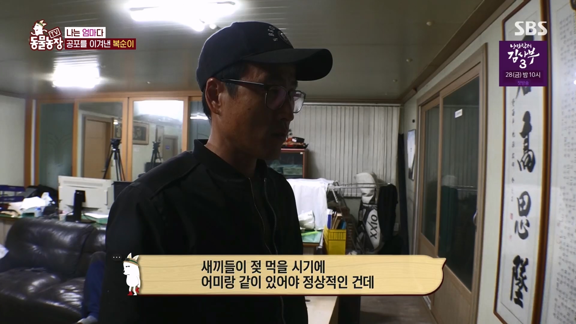 TV 동물농장.E1118.230423p.H264-F1RST.mp4_20230423_181112.403.jpg