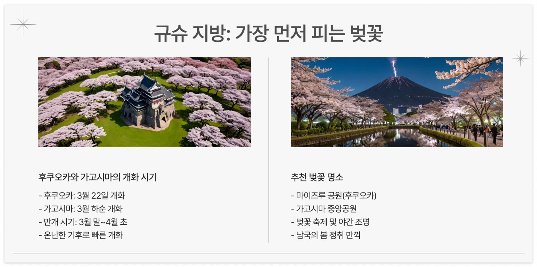 규수지방-벚꽃-특징