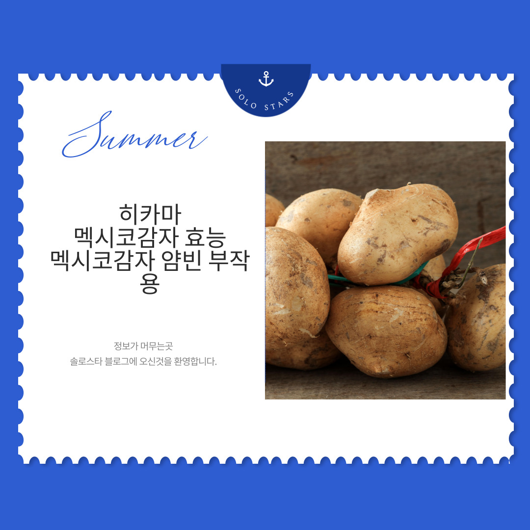 히카마사진