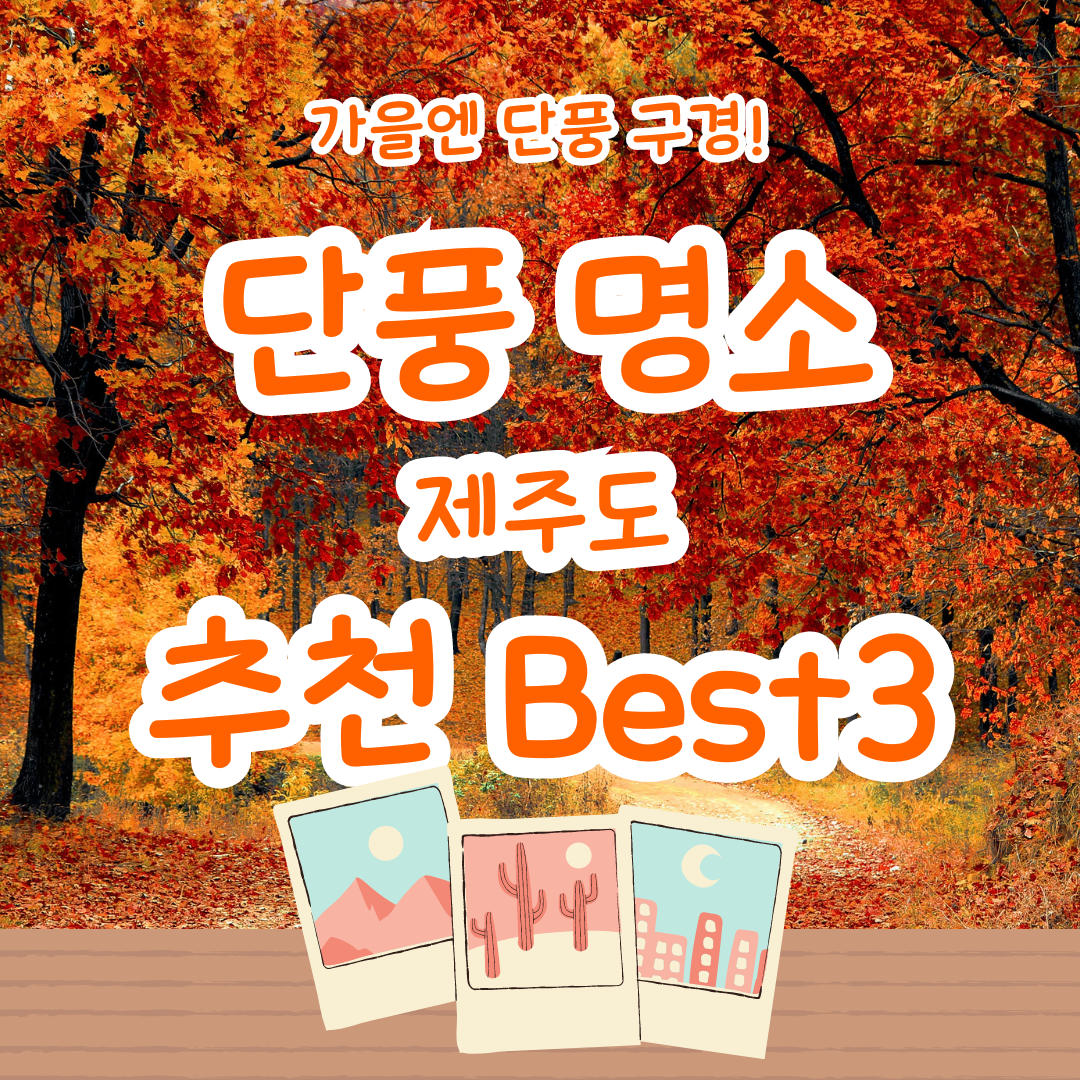 가을 단풍 여행 지도(6) - 제주도 - 동화마을, 산굼부리, 새별오름 추천지 3곳!!1