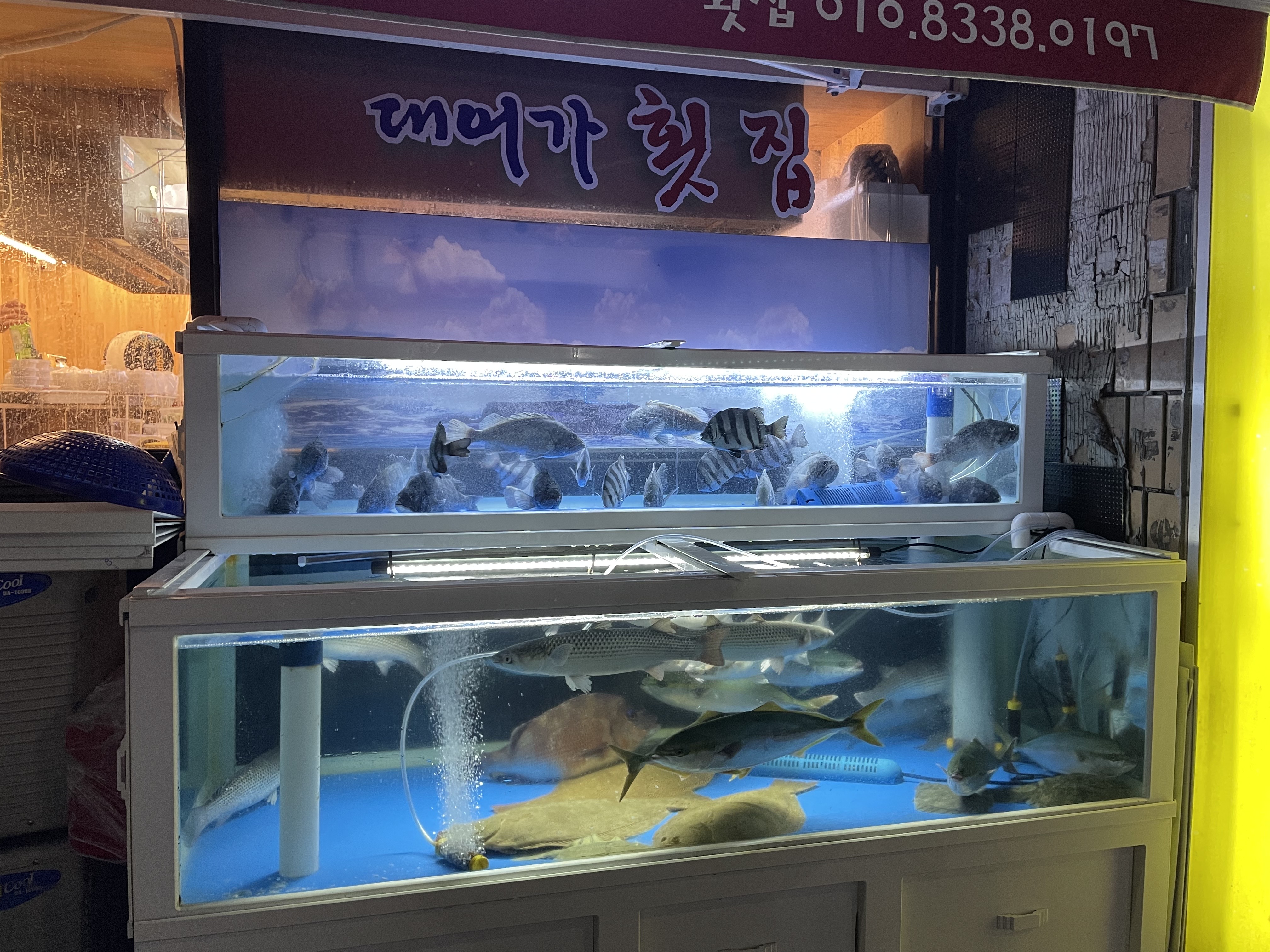 사상횟집 이미지