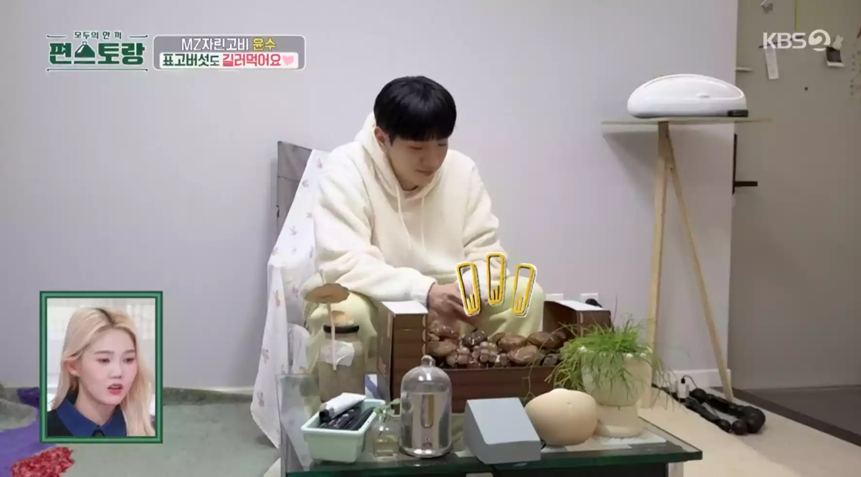 표고버섯 키트 등장