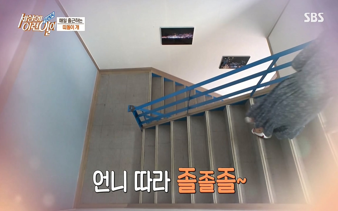 순간포착 세상에 이런일이.E1185.220622p-NEXT.mp4_20220622_201152.478.jpg