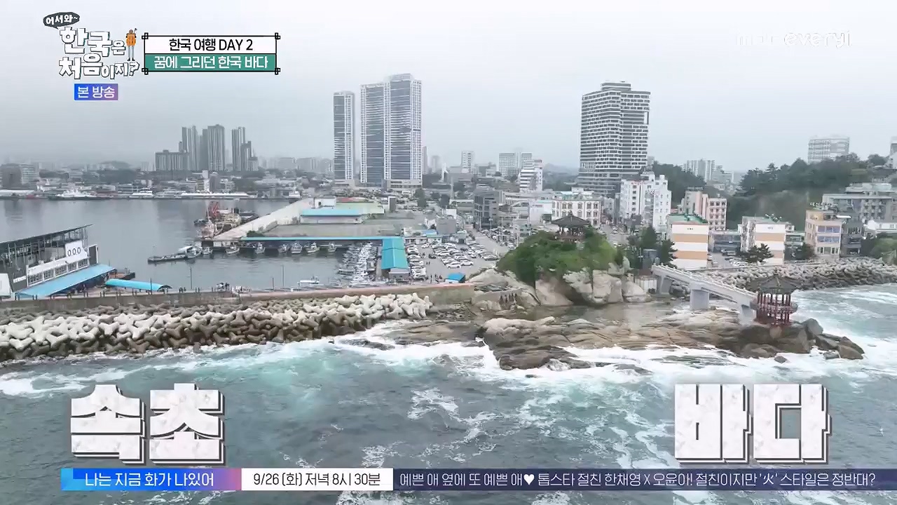 어서와 한국은 처음이지 시즌2.E281.230922p-NEXT.mp4_20230923_174704.575.jpg