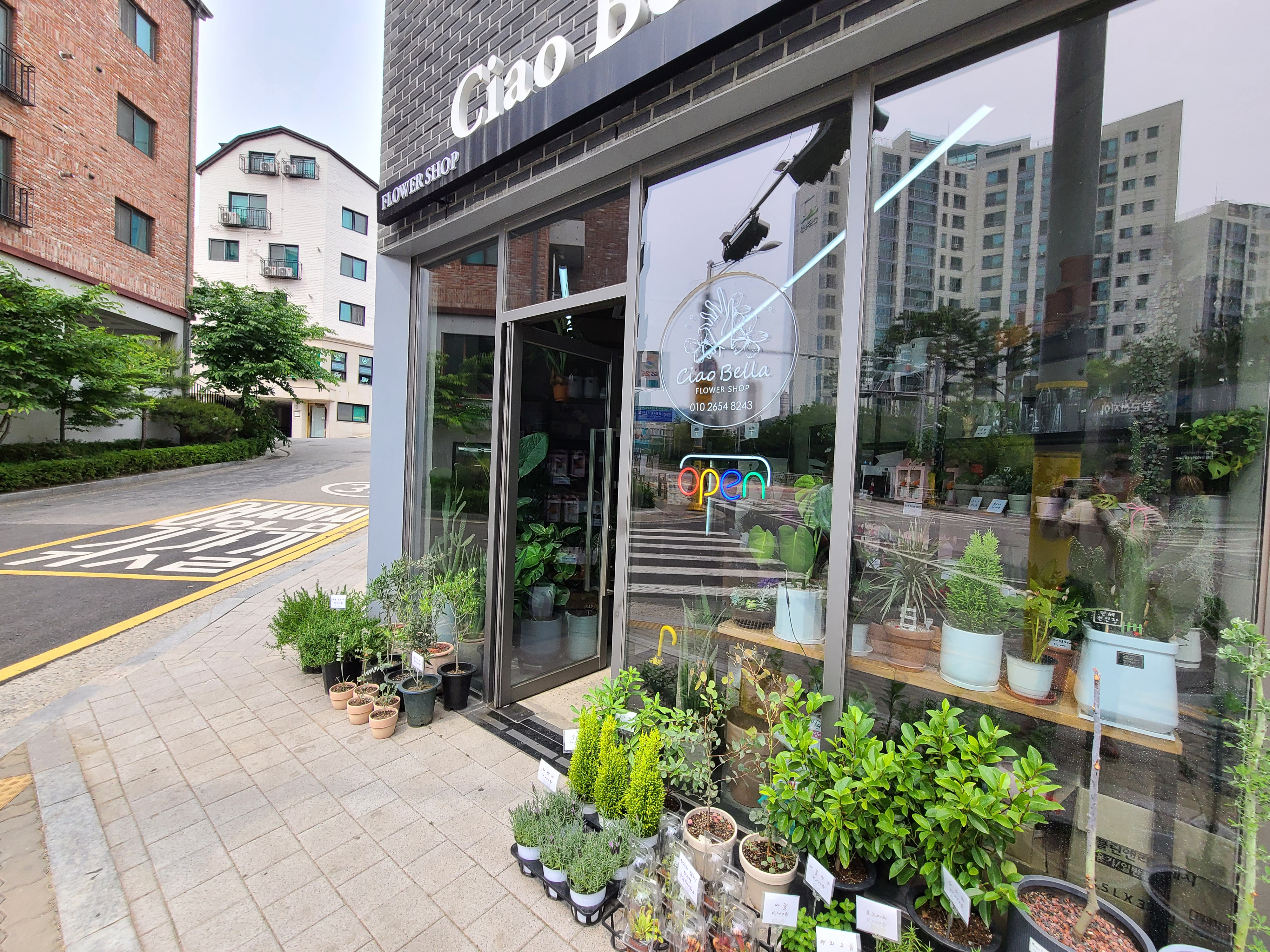 챠오벨라1;2 이미지