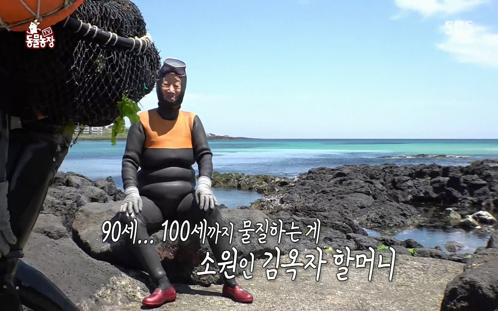 TV 동물농장.E1073.220612p.H264-F1RST.mp4_20220612_180436.289.jpg