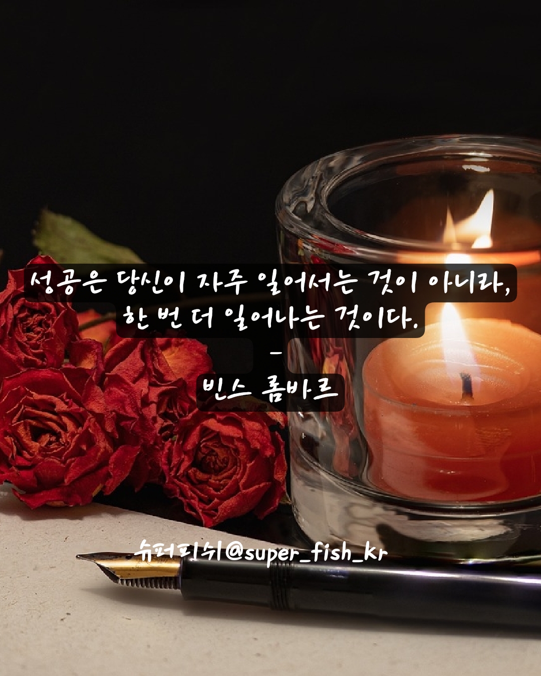 빈스피쉬 이미지