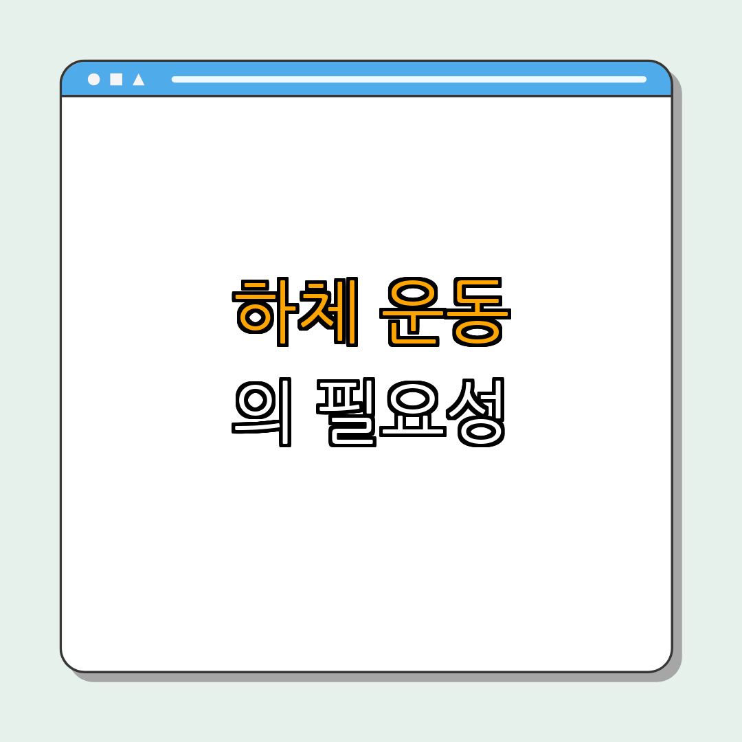 1. 하체 운동의 필요성