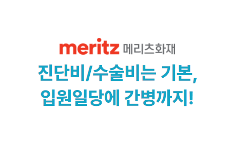 메리츠 간병인보험