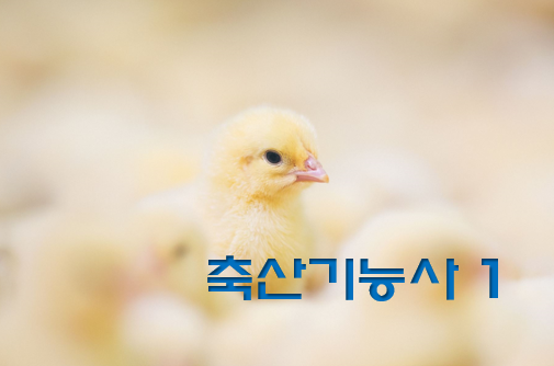  축산기능사 전망과 취업 현실 1