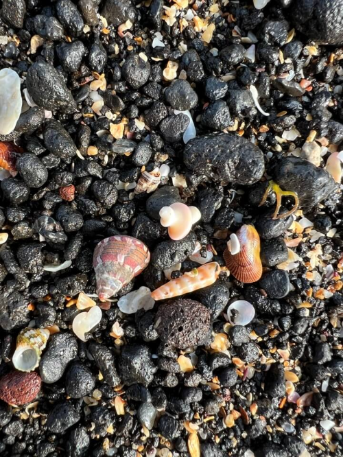 제주도-사계해변-모래알