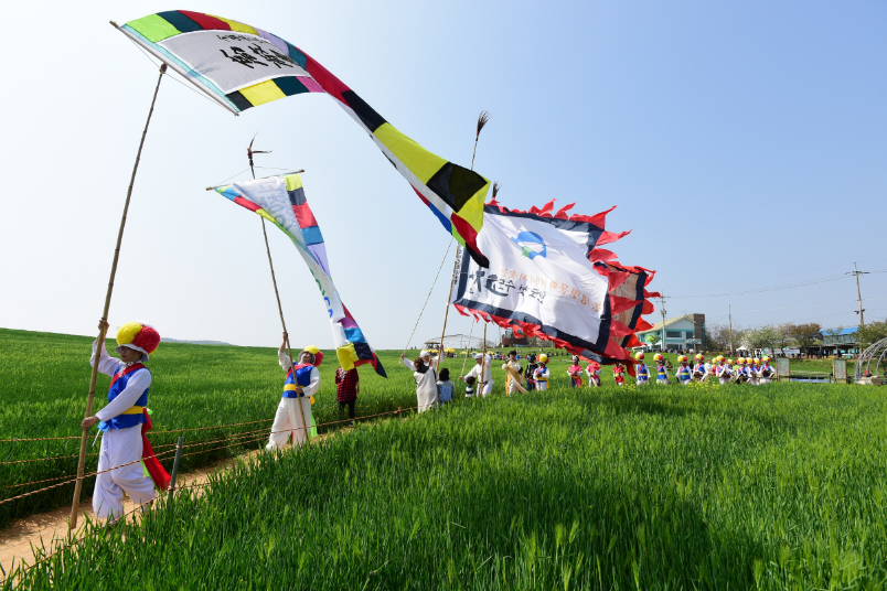 고창 청보리밭 축제 -2