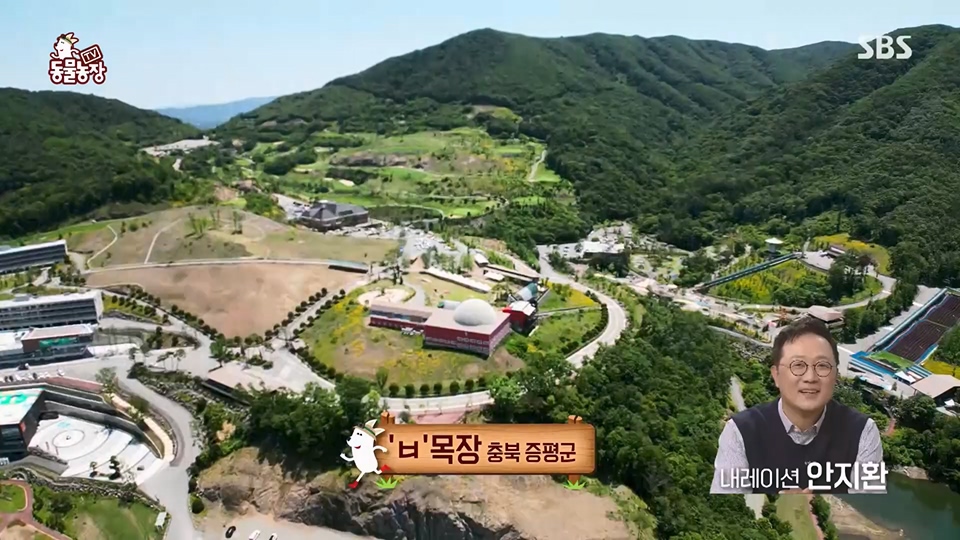 TV 동물농장.E1125.230618p.H264-F1RST.mp4_20230618_192058.881.jpg