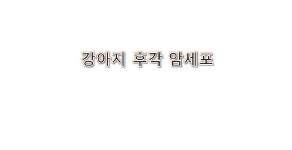  강아지가 암세포 냄새를 맡을 수 있을까
