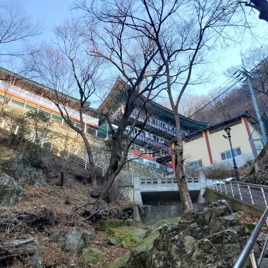 14일 & 보식총정리 7