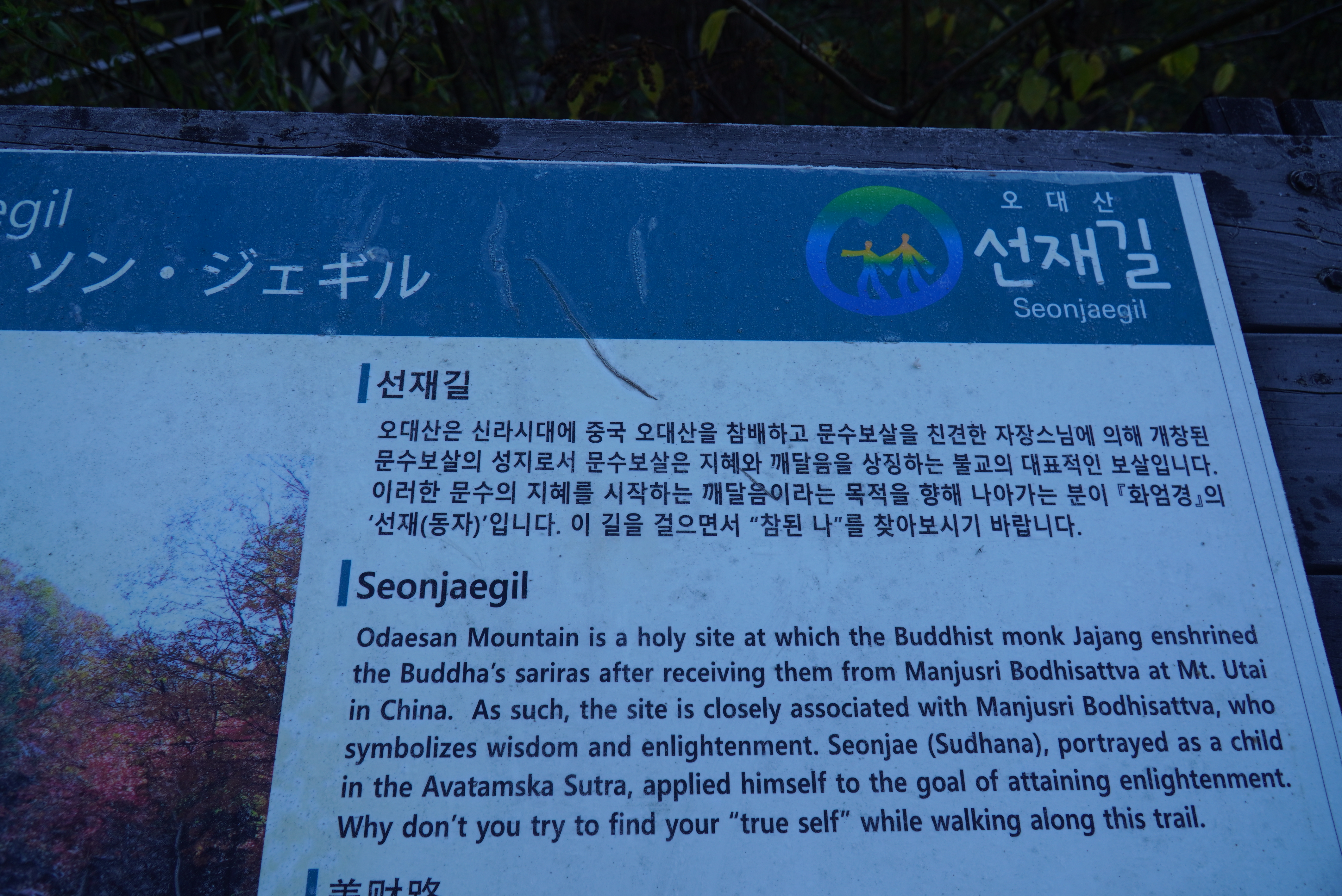 오대산 선재길 단풍, 등산코스, 월정사 상원사 버스, 주차