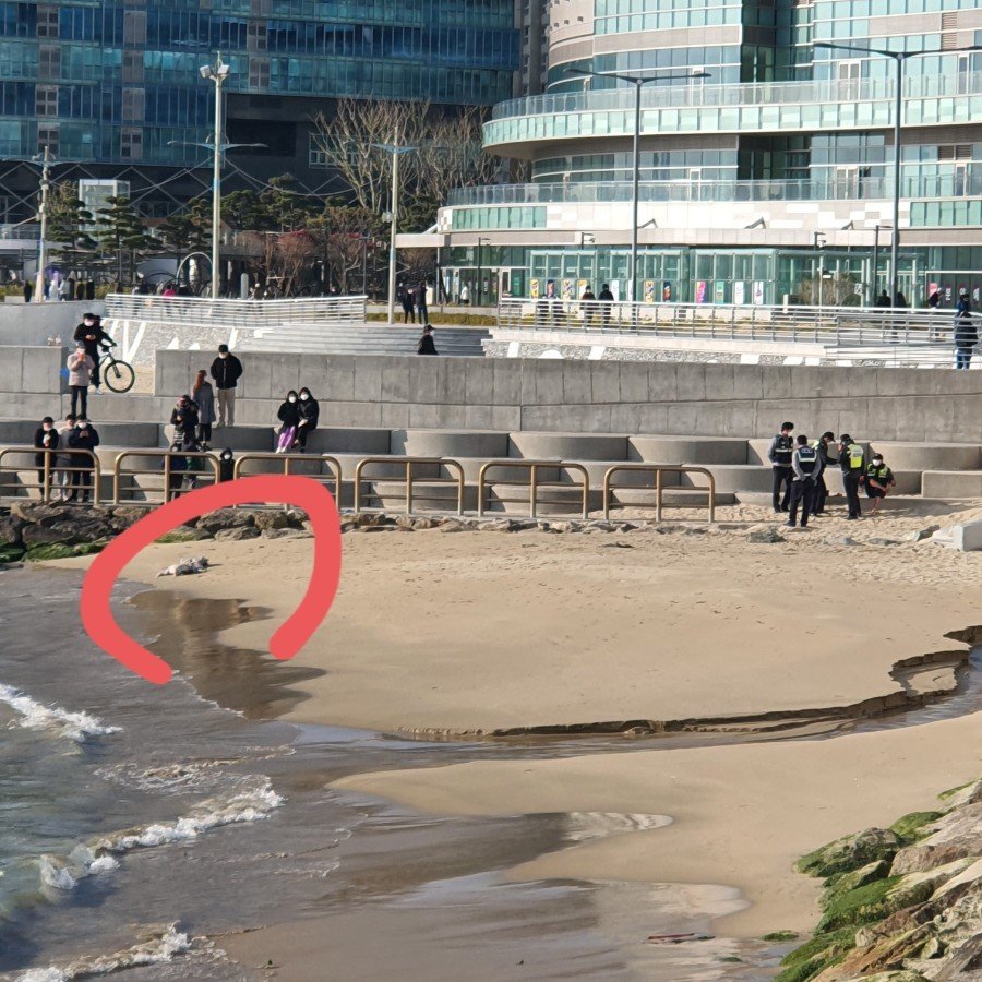  해운대 시체 포대자루에 담겨 발견