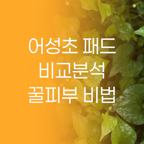 내돈내산 어성초 패드 비교 분석 꿀피