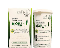 비엔날 17 유산균