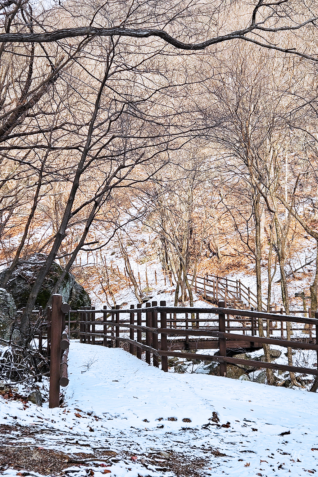 소백산국립공원 삼가동코스 이미지