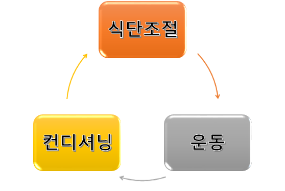  다이어트 비긴즈 - ② 식단-운동-컨디셔닝 triangulation