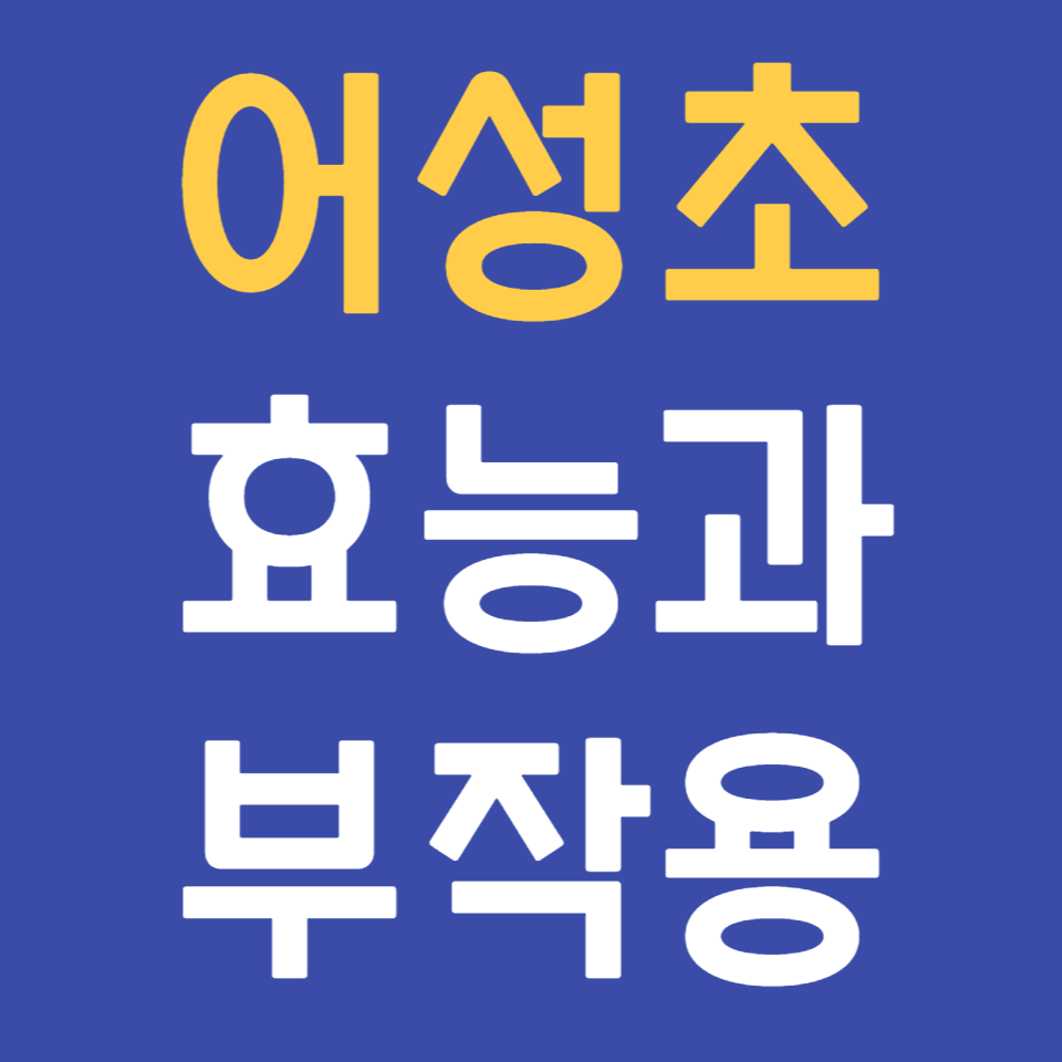  말린 어성초 효능과 부작용