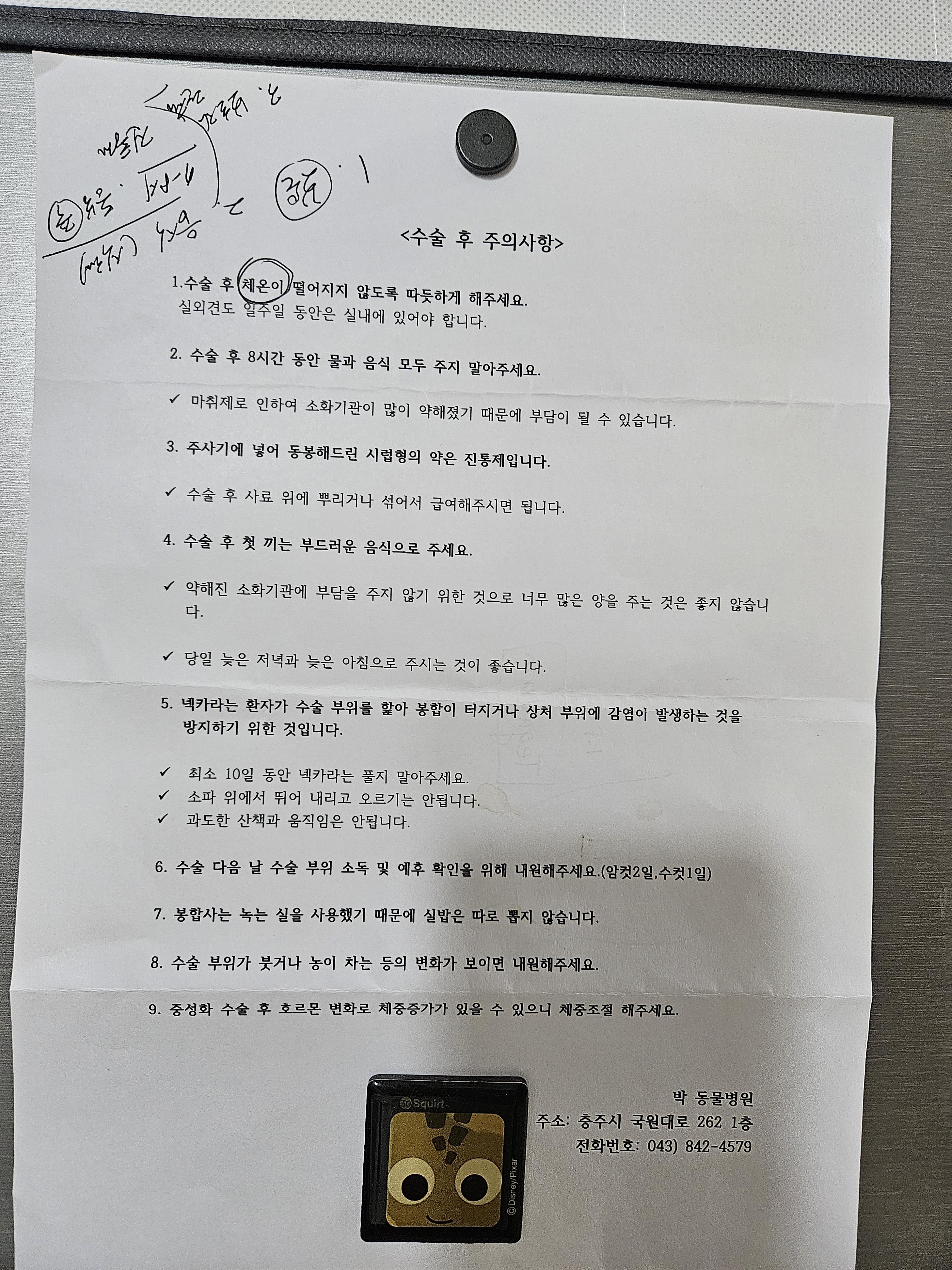 충주동물병원
충주 박동물병원
충주 중성화수술 잘하는 동물병원
박동물병원
충주 박동물병원