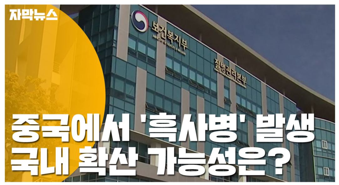  중국 흑사병 원인 증상 예방법  총정리