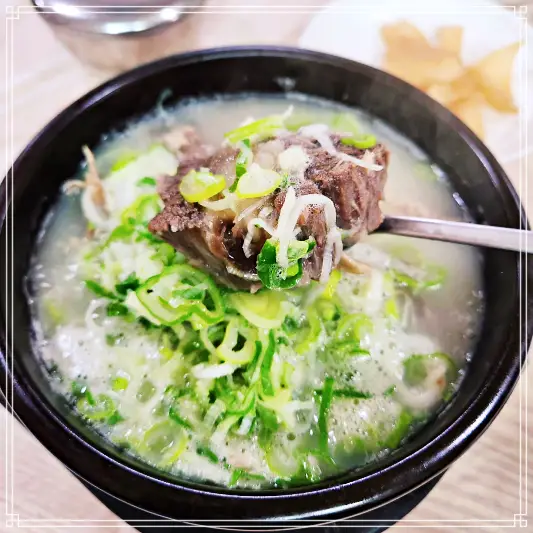 토밥 좋아, 토요일은 밥이좋아 한우 꼬리 도가니찜 토밥즈 MBTI 레이스 경북 경주 추천 맛집 꼬리곰탕 100회 방송 정보