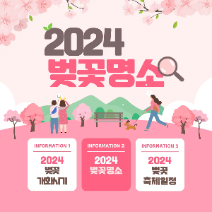 2024 벚꽃 개화시기&#44; 벚꽃 명소&#44; 벚꽃 축제