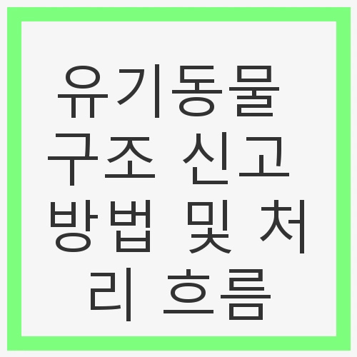 유기동물의 현실
