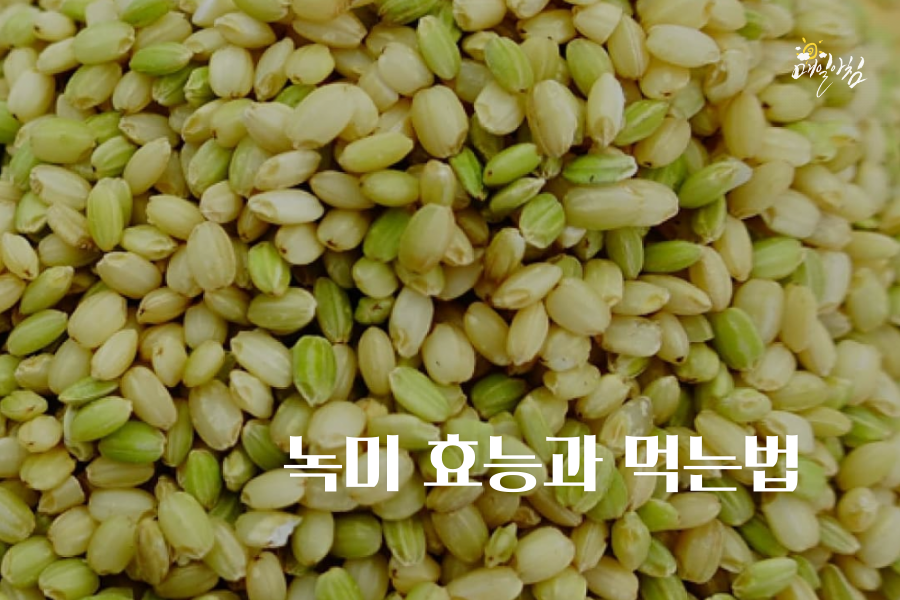  [매일아침좋은글] 천기누설 녹미 효능과 먹는법 녹미 먹을때 주의할 점