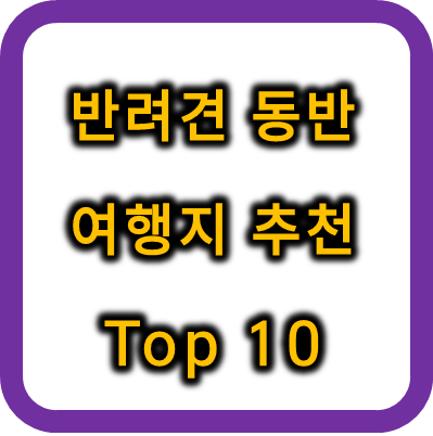 반려견 동반 가능 여행지 TOP 10