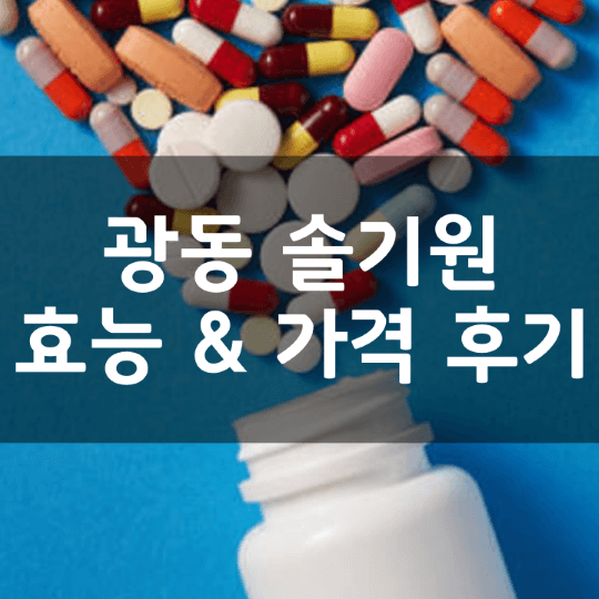 광동-솔기원-뜻-성분-효능-복용법-가격-내돈내산-후기-정리